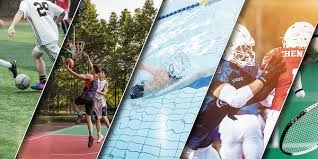 [德甲]拜仁主场击败海登海姆