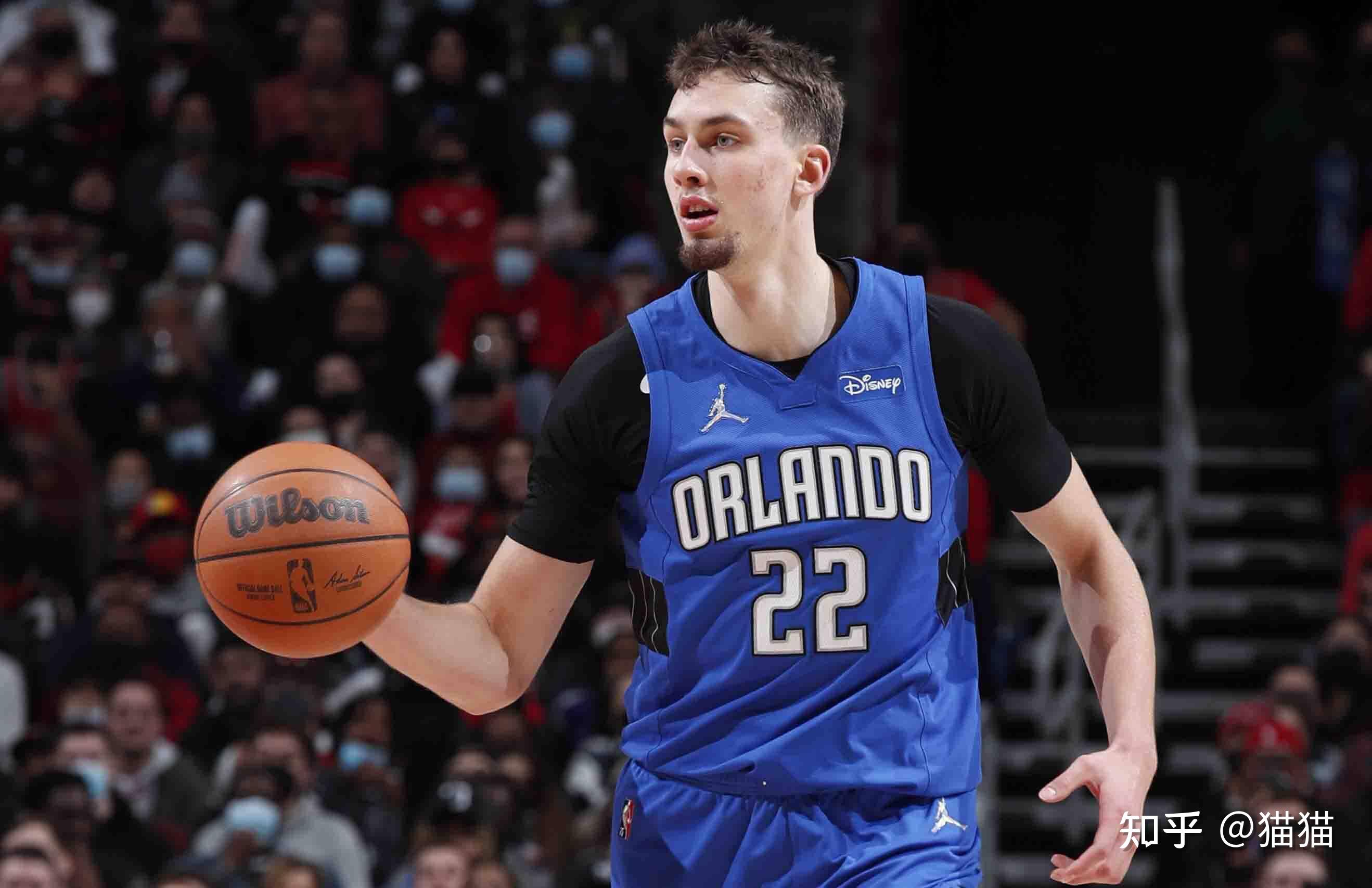 象的重要组 象的重要组