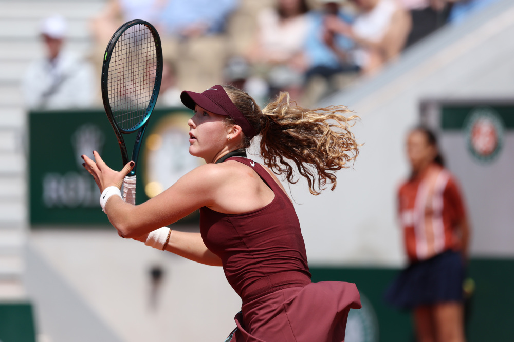 仅迎合了年 仅迎合了年